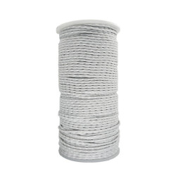 Plomb lesteur gaine 25 g