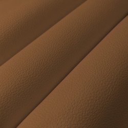 Prodigy tan
