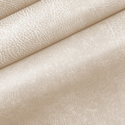 Pavinto polar