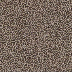 Soshagro choco-cream