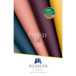 Carte coloris prodigy