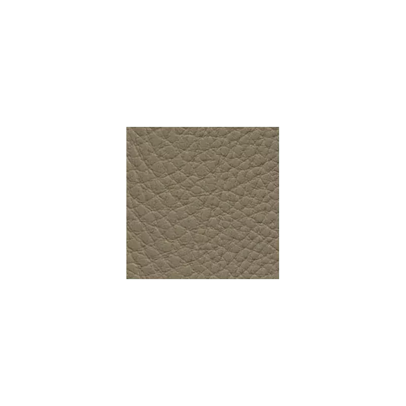 Kimera