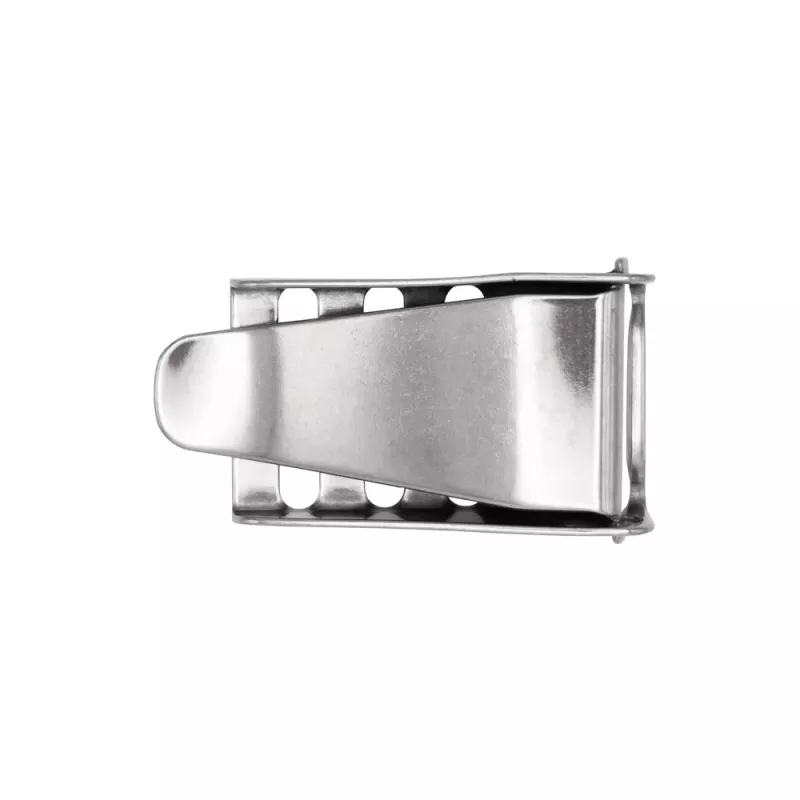 Boucle à came à levier inox