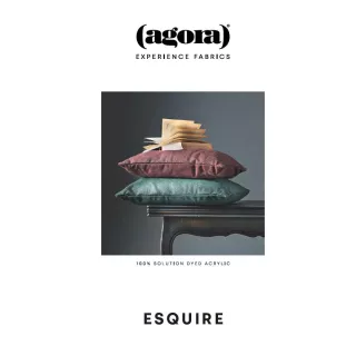 Carte coloris Esquire