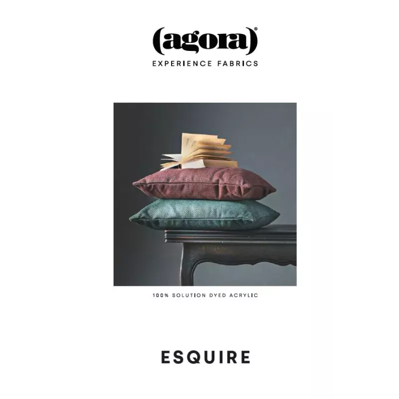 Carte coloris Esquire