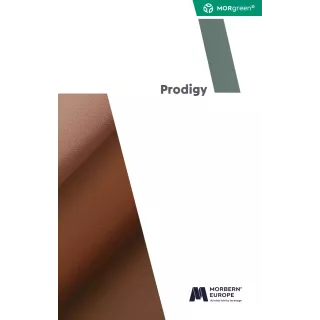 Carte coloris prodigy