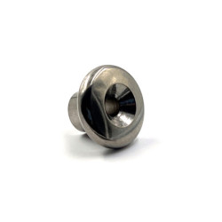 Bouton de taud inox tête large